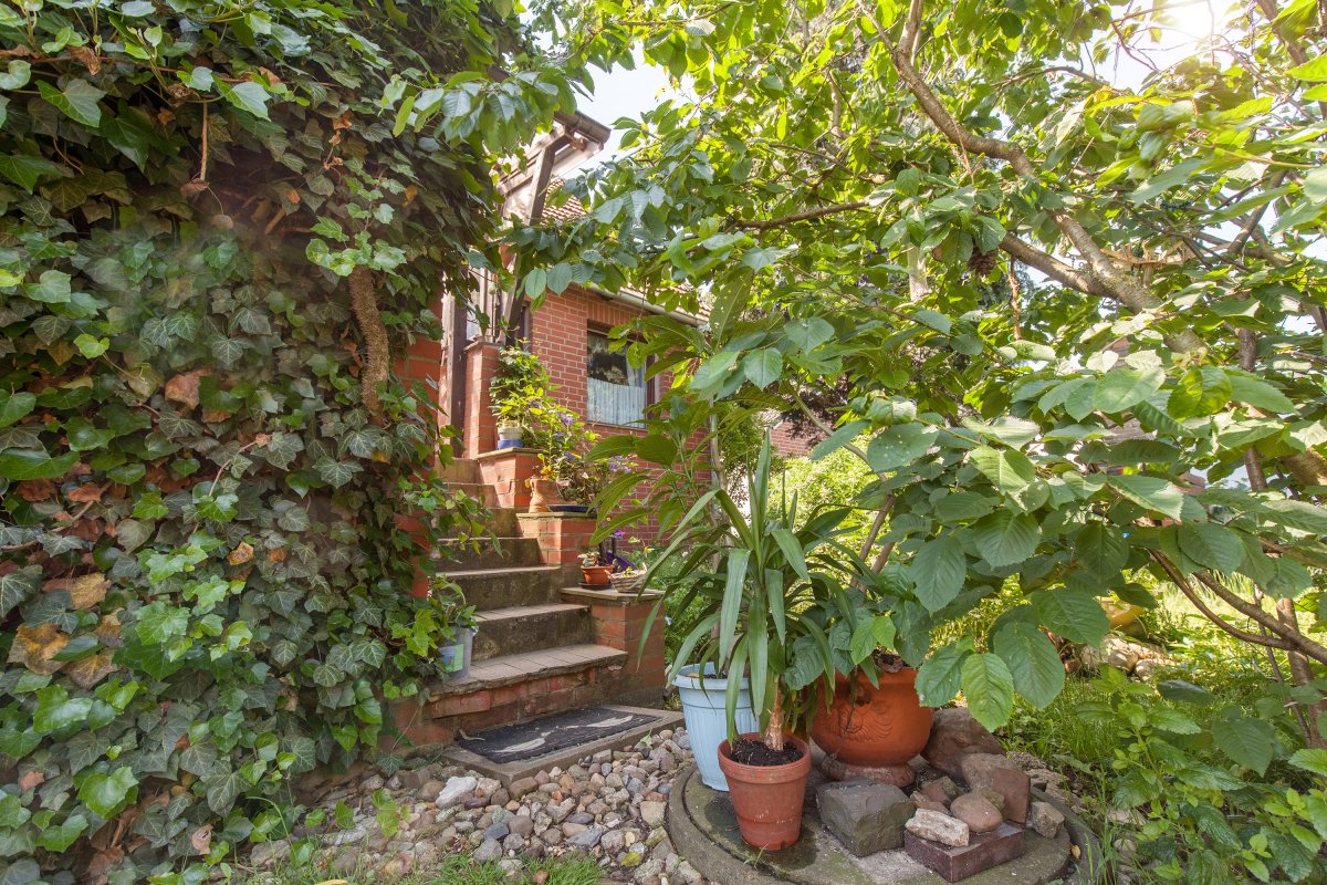 Mehrwertmakler Immobilien
