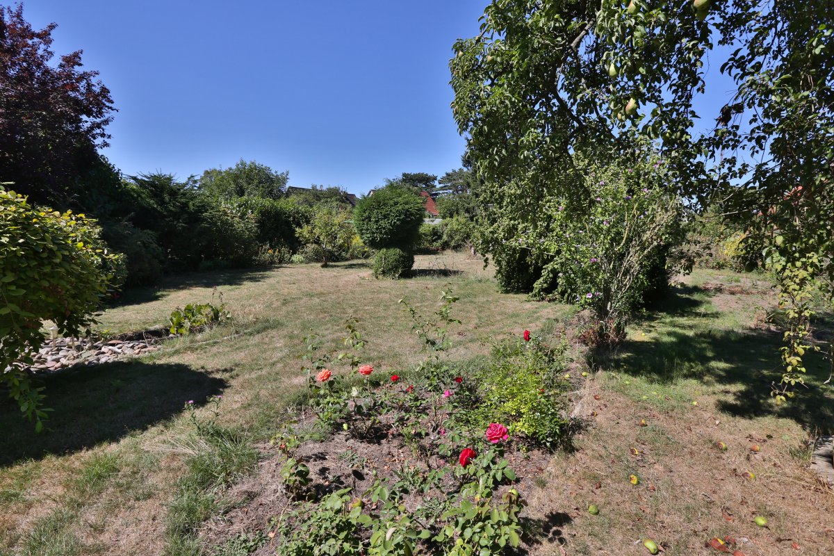 Mehrwertmakler Immobilien