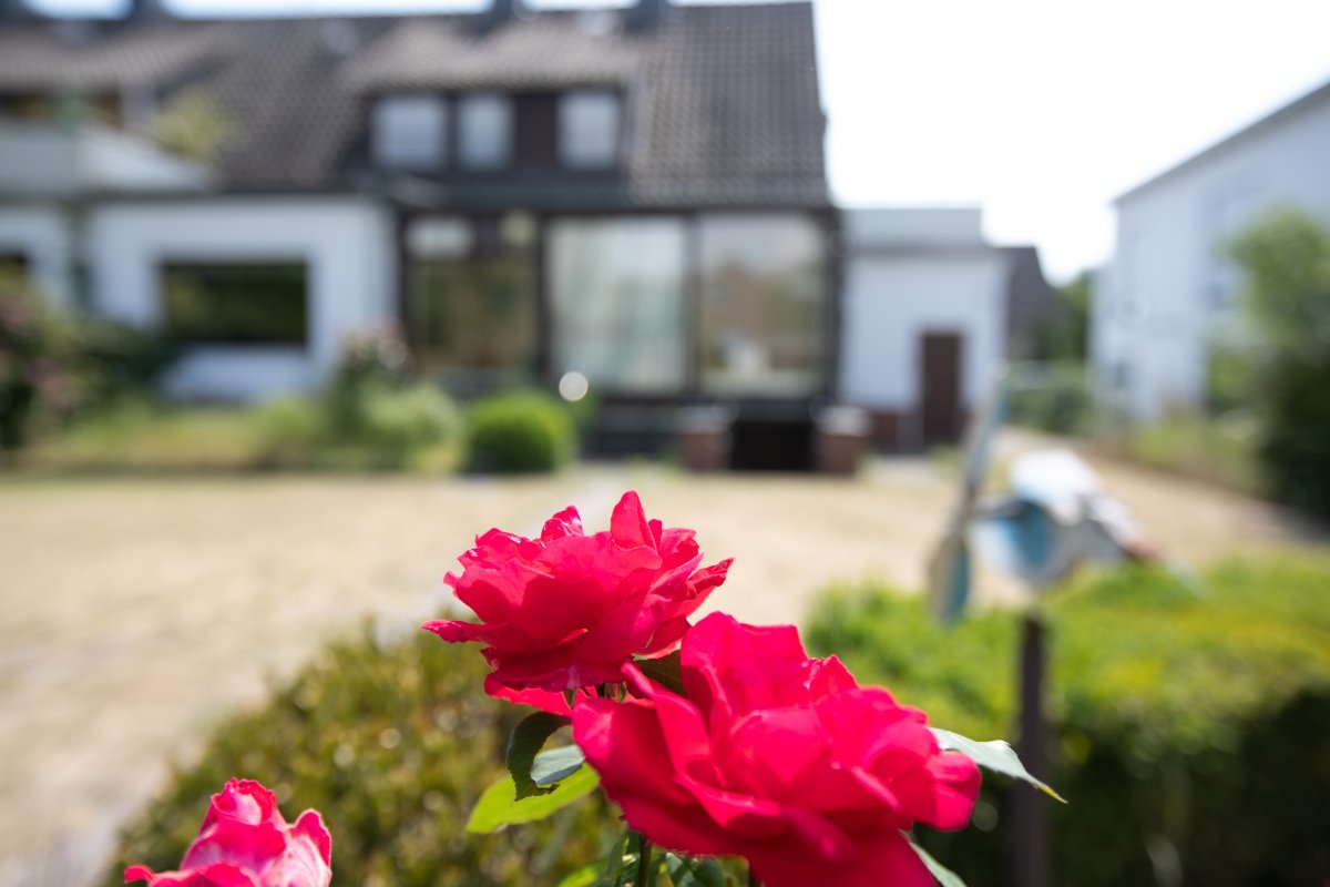 Mehrwertmakler Immobilien